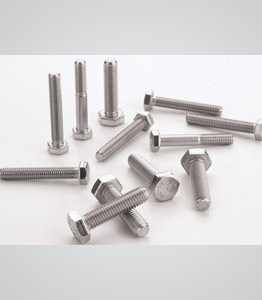 Bolt / Hex Screw