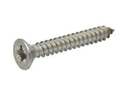 CSK Philipse S/T Self Tapping Screw