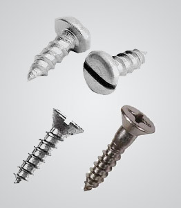 Self Tapping Screw